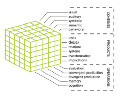 Structure of Intellect